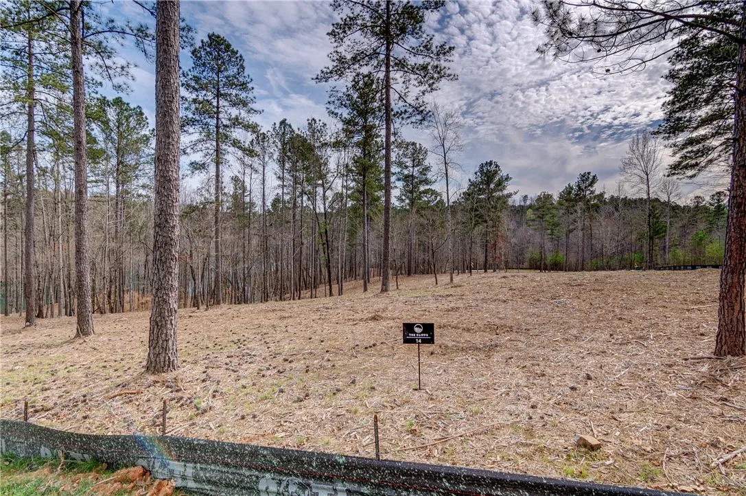 Property image 1 at Lot 14 Grays Peak Drive, Salem, SC 29676