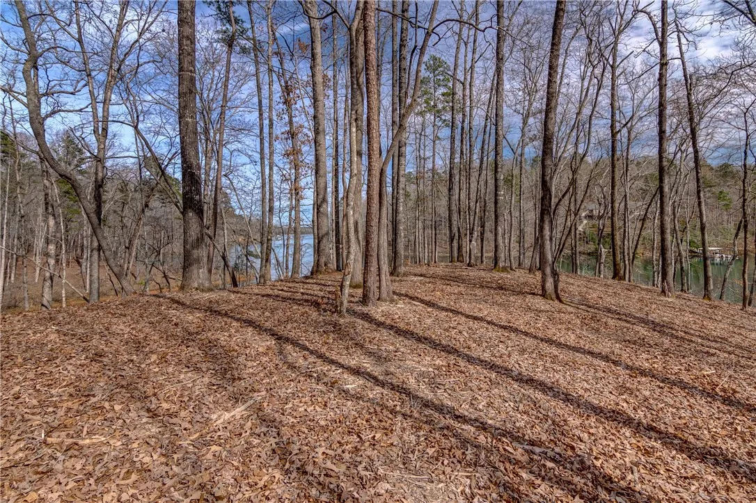 Property image 5 at Lot 16 Crestone Court, Salem, SC 29676
