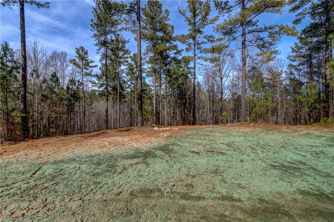 Property image 1 at Lot 1 Grays Peak Drive, Salem, SC 29676