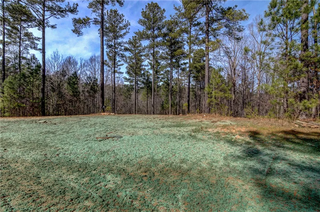 Property image 3 at Lot 1 Grays Peak Drive, Salem, SC 29676