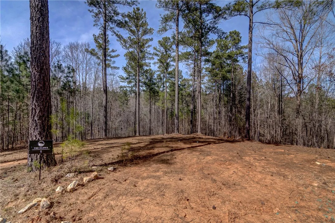 Property image 5 at Lot 1 Grays Peak Drive, Salem, SC 29676
