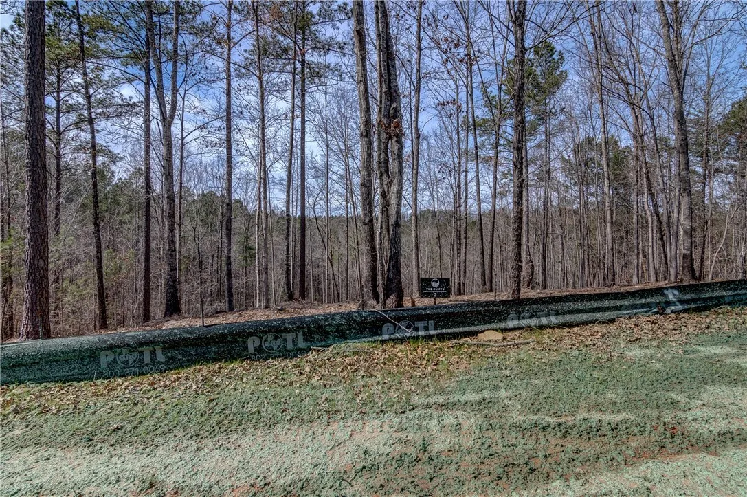 Property image 1 at Lot 2 Grays Peak Drive, Salem, SC 29676
