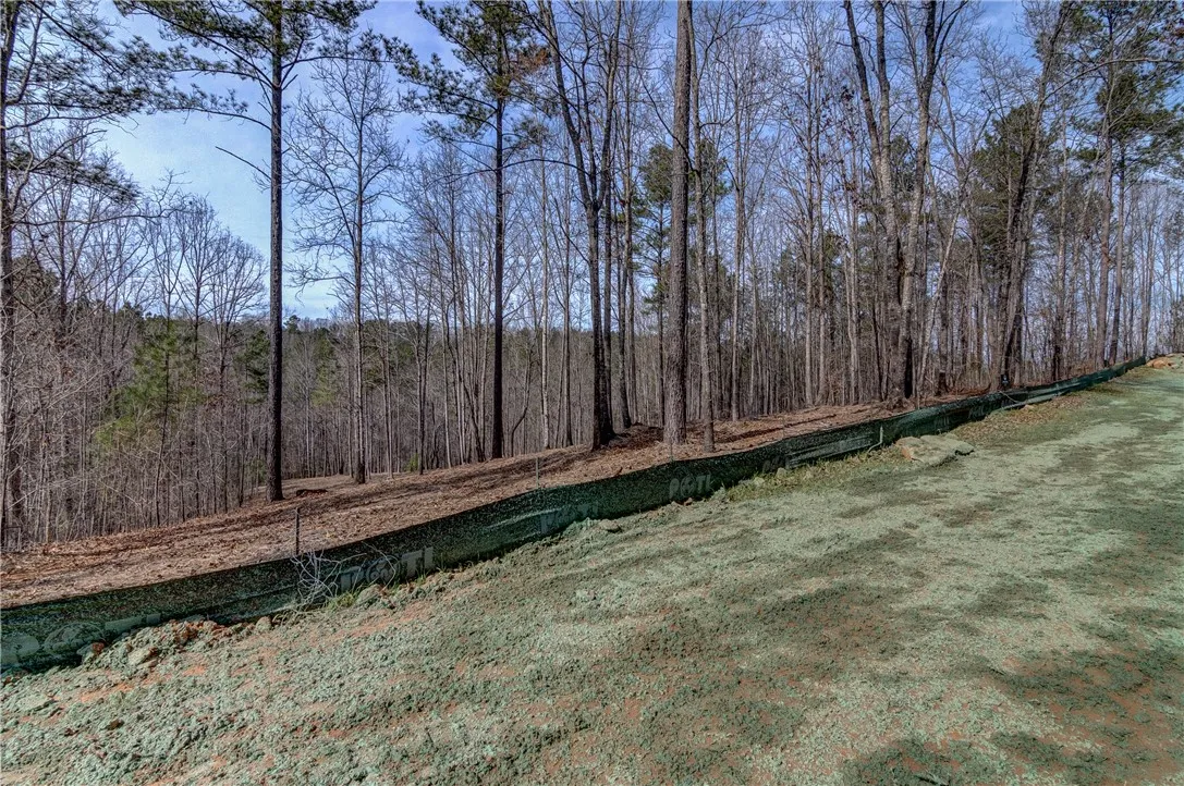 Property image 2 at Lot 2 Grays Peak Drive, Salem, SC 29676