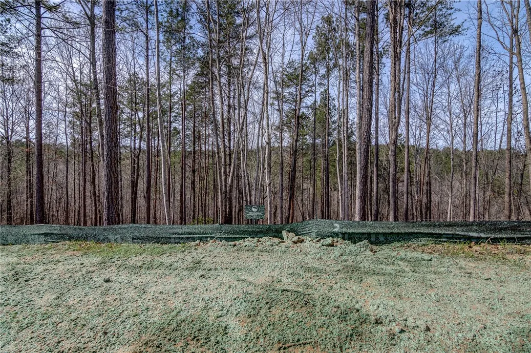 Property image 1 at Lot 3 Grays Peak Drive, Salem, SC 29676