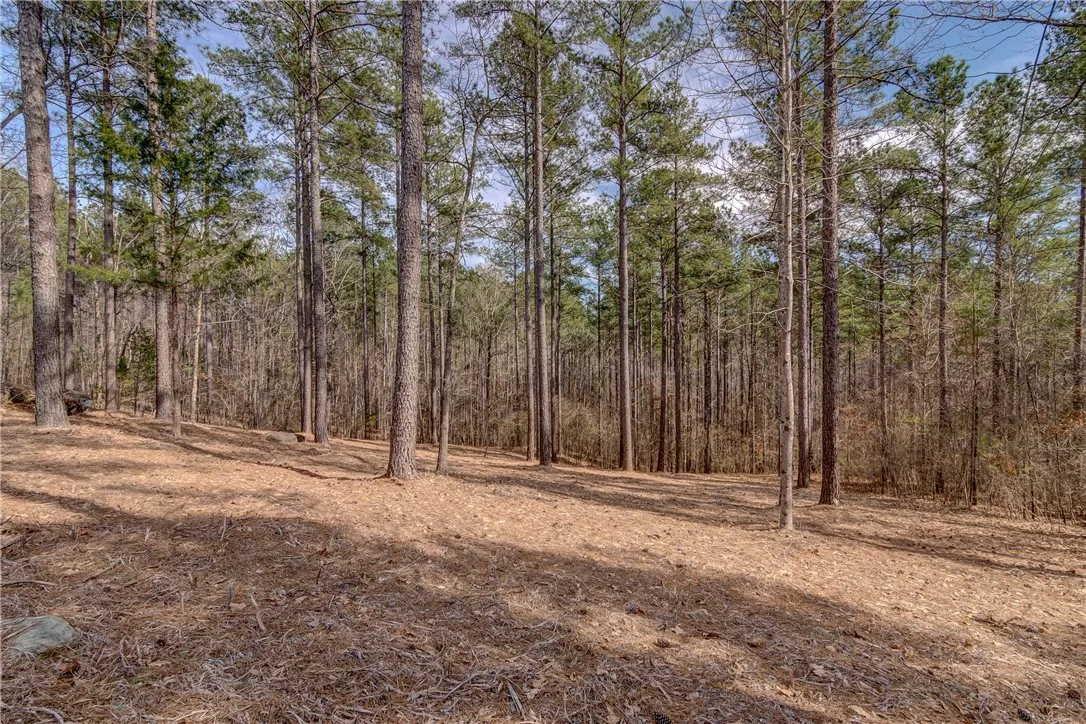 Property image 1 at Lot 20 Grays Peak Drive, Salem, SC 29676
