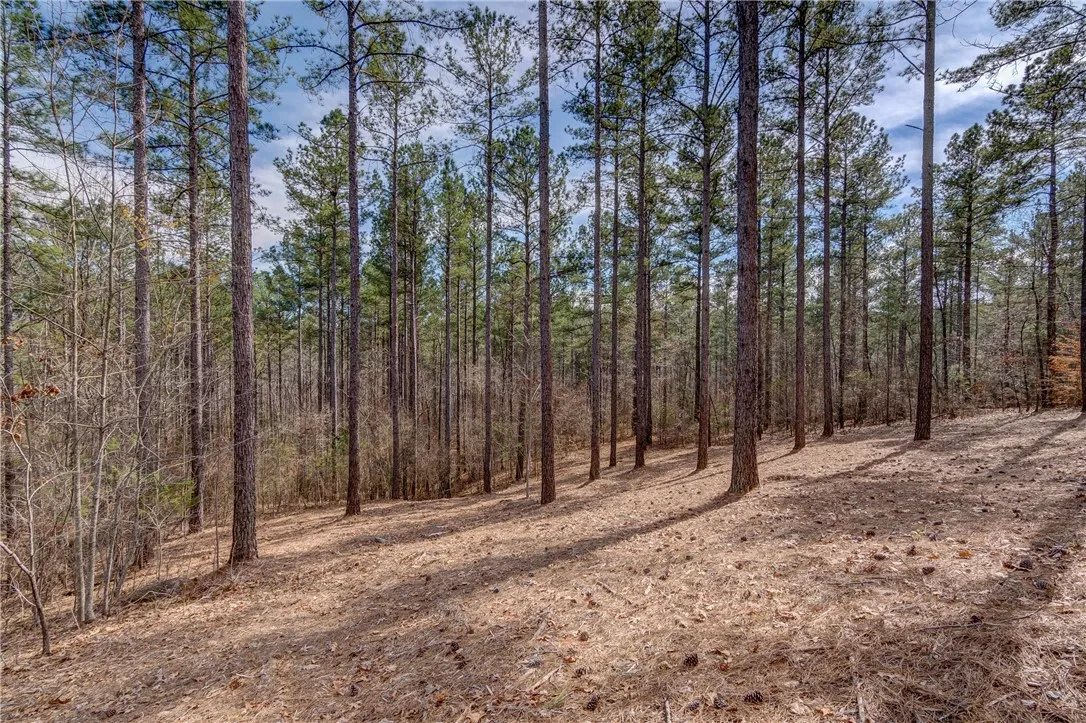 Property image 4 at Lot 20 Grays Peak Drive, Salem, SC 29676