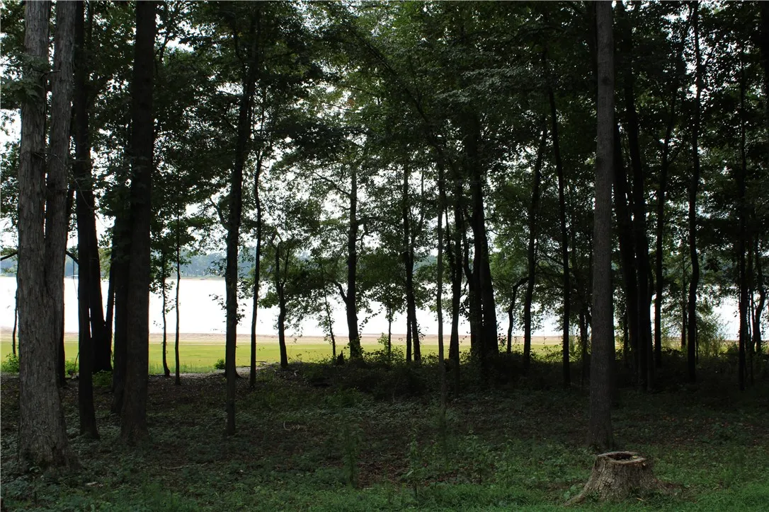 Property image 2 at 174 Meredith Lake Road, Townville, SC 29689