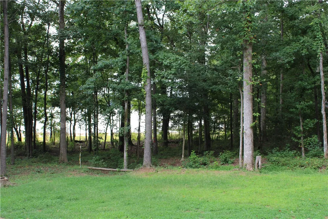 Property image 3 at 174 Meredith Lake Road, Townville, SC 29689
