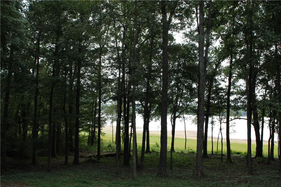 Property image 4 at 174 Meredith Lake Road, Townville, SC 29689