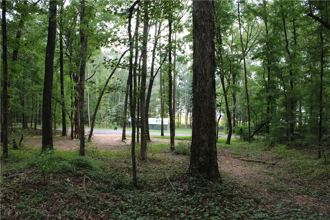 Property image 5 at 174 Meredith Lake Road, Townville, SC 29689