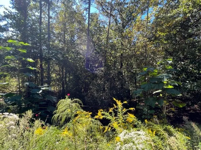 Property image 5 at Lot 68 Cherokee Drive, Fair Play, SC 29643