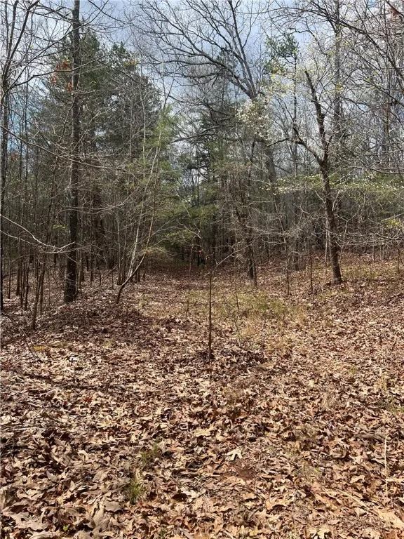Property image 5 at Lot 7 Martin Creek Road, Seneca, SC 29678