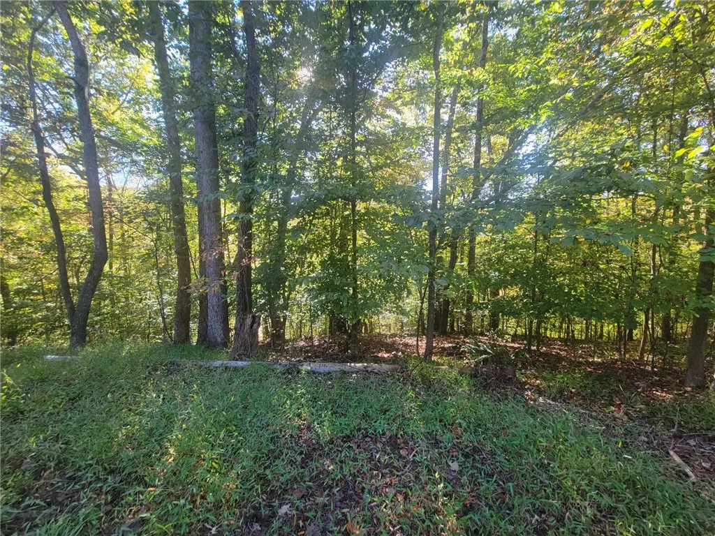 Property image 5 at Lot 228 Boxwood Lane, Westminster, SC 29693