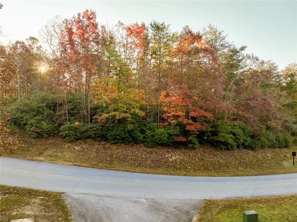 Property image 3 at 10 Darting Sparrow Way, Marietta, SC 29661