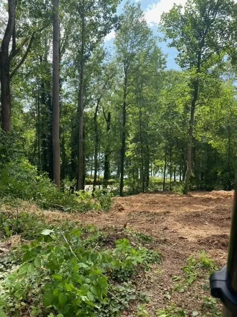 Property image 3 at 0 Cherokee Lane, Lavonia, GA 30553