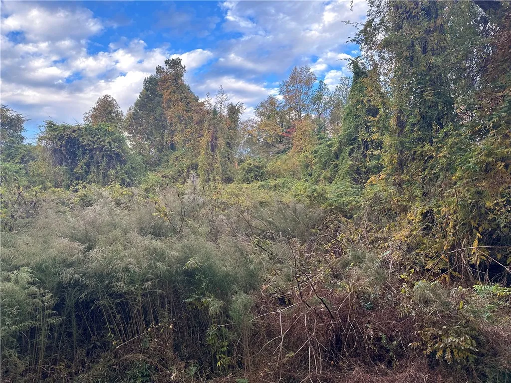 Property image 1 at 01 Dogwood Drive, Belton, SC 29627