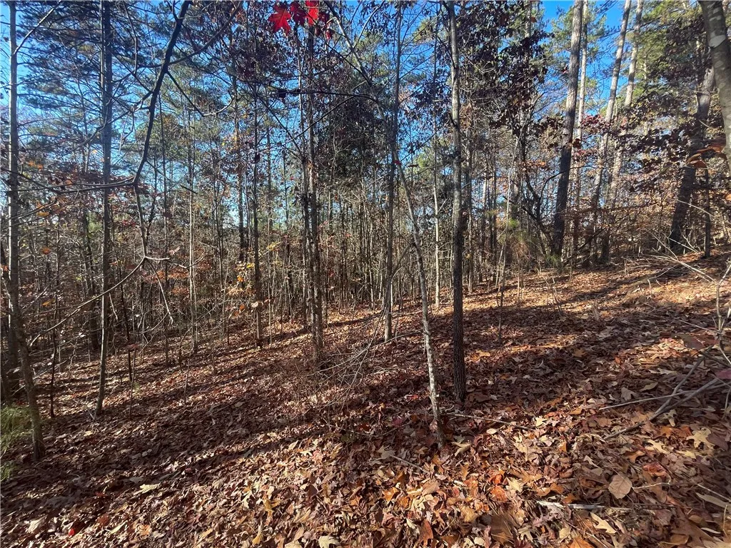 Property image 2 at Lot 25 Coachmans Trail, West Union, SC 29696