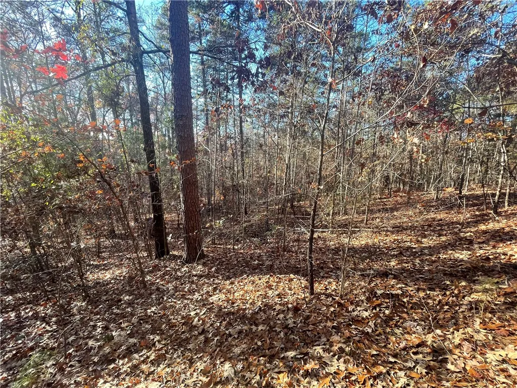 Property image 3 at Lot 25 Coachmans Trail, West Union, SC 29696