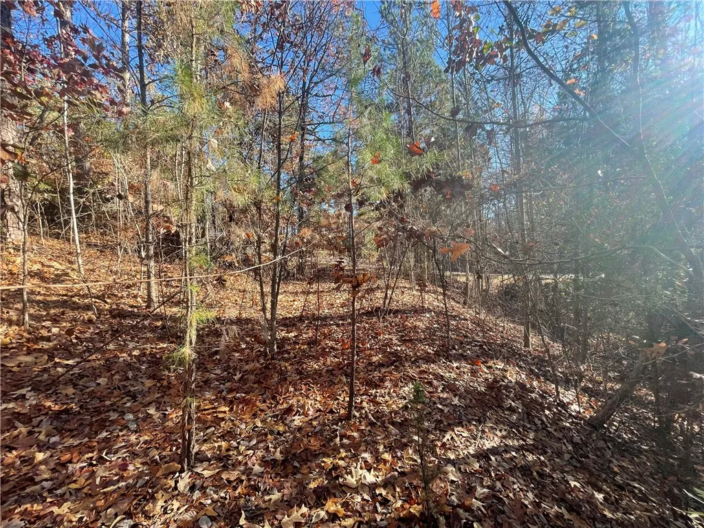 Property image 4 at Lot 25 Coachmans Trail, West Union, SC 29696