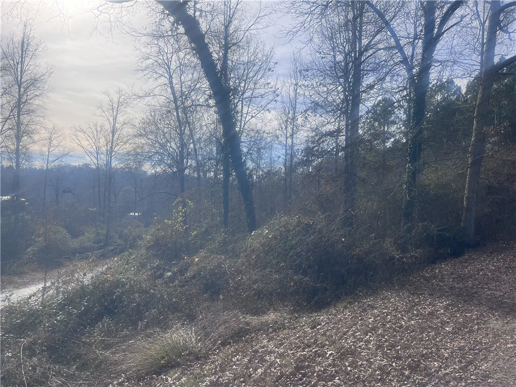 000 Pine Knoll Drive