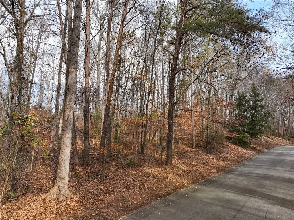 Calhoun Forest, Clemson Community