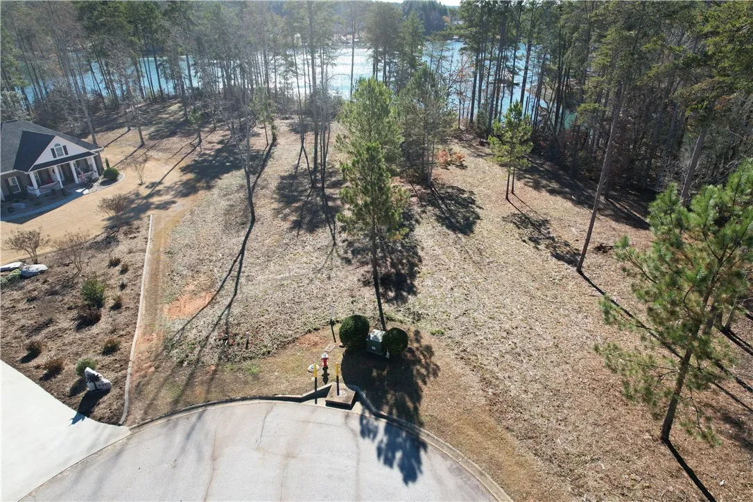 Property image 3 at Lot 32 Four Pointes North Natures View Drive, Salem, SC 29676