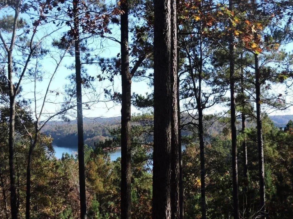 Property image 1 at 333 Long Cove Trail, Salem, SC 29676