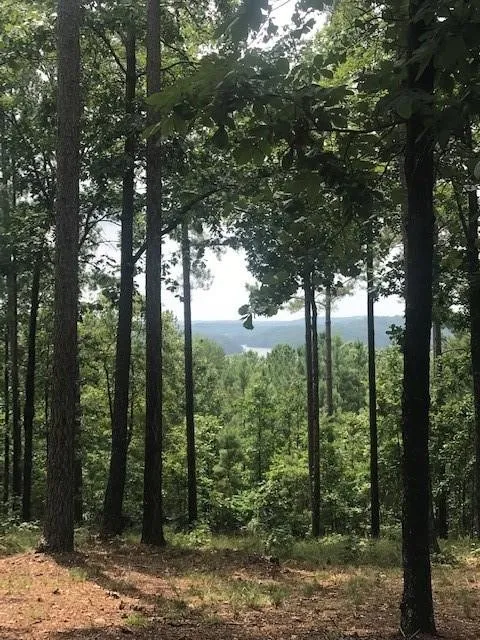 Property image 4 at 333 Long Cove Trail, Salem, SC 29676