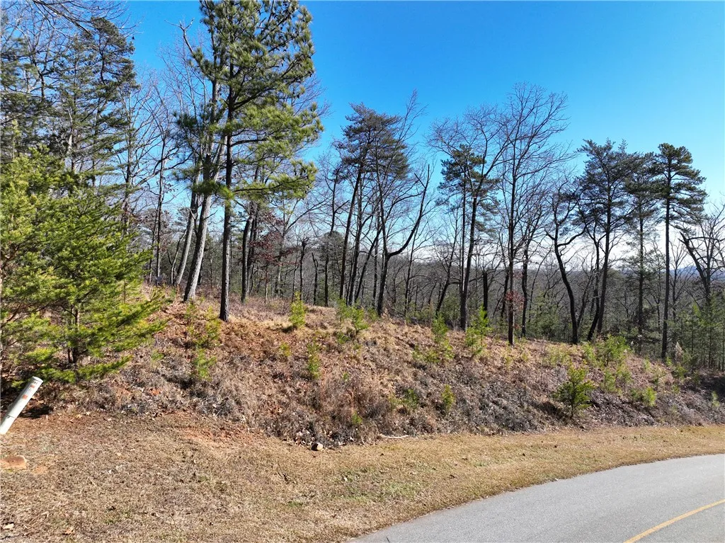 141 Parkview Lane