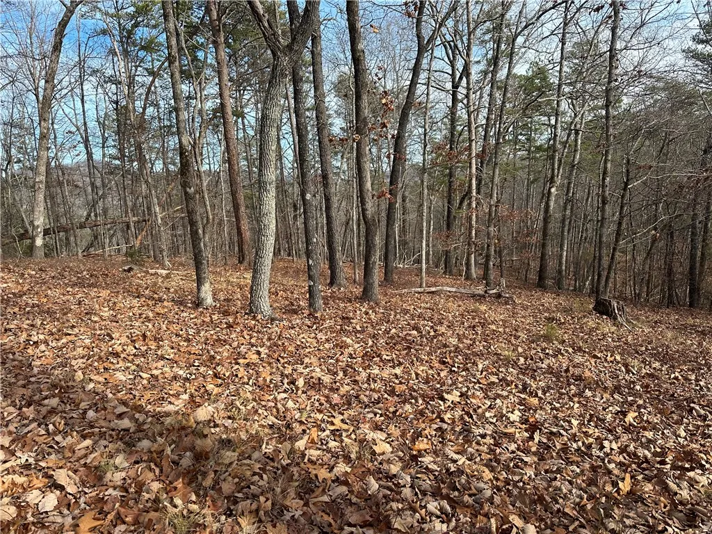 Property image 2 at 141 Parkview Lane, Sunset, SC 29685