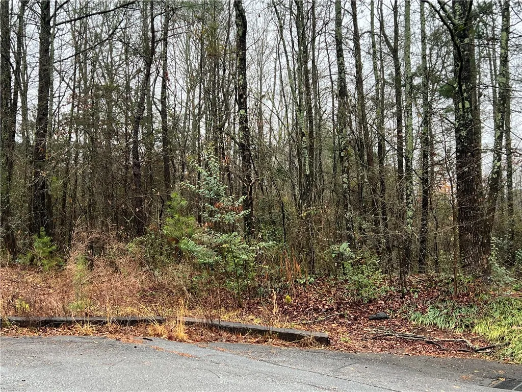 Property image 2 at 00 Prince Ranier Drive, Clemson, SC 29631