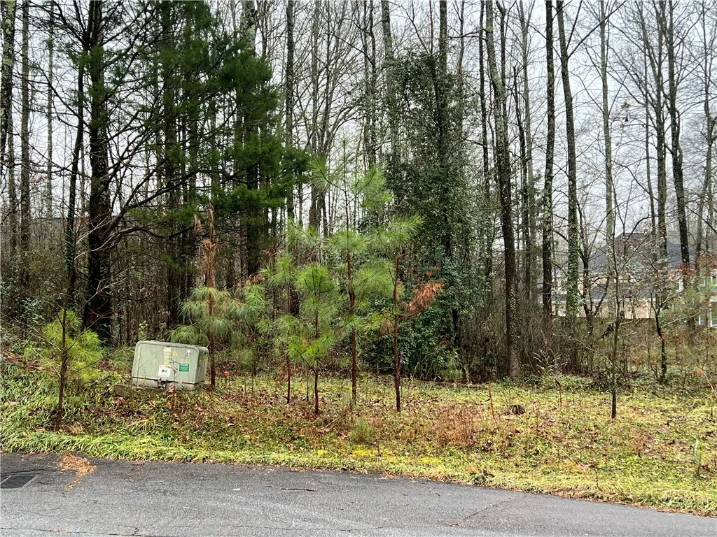 Property image 3 at 00 Prince Ranier Drive, Clemson, SC 29631