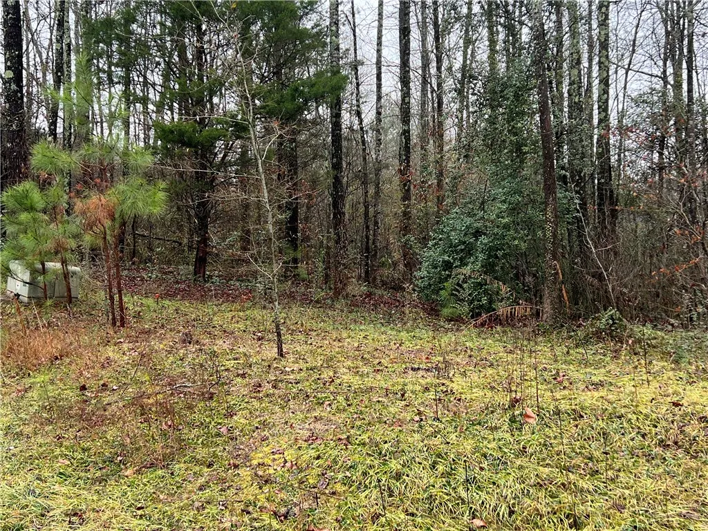 Property image 4 at 00 Prince Ranier Drive, Clemson, SC 29631