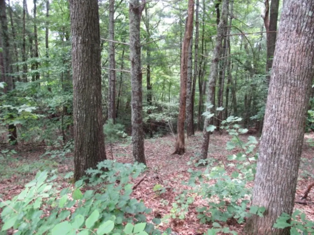 Property image 2 at 425 Whispering Falls Drive, Pickens, SC 29671