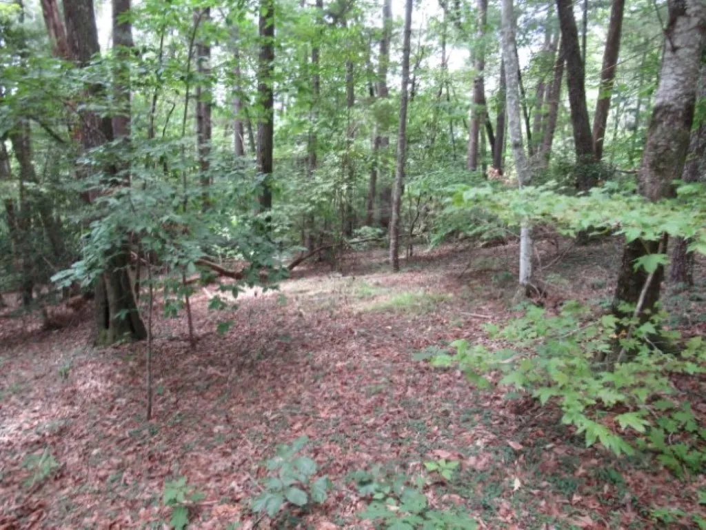 Property image 3 at 425 Whispering Falls Drive, Pickens, SC 29671