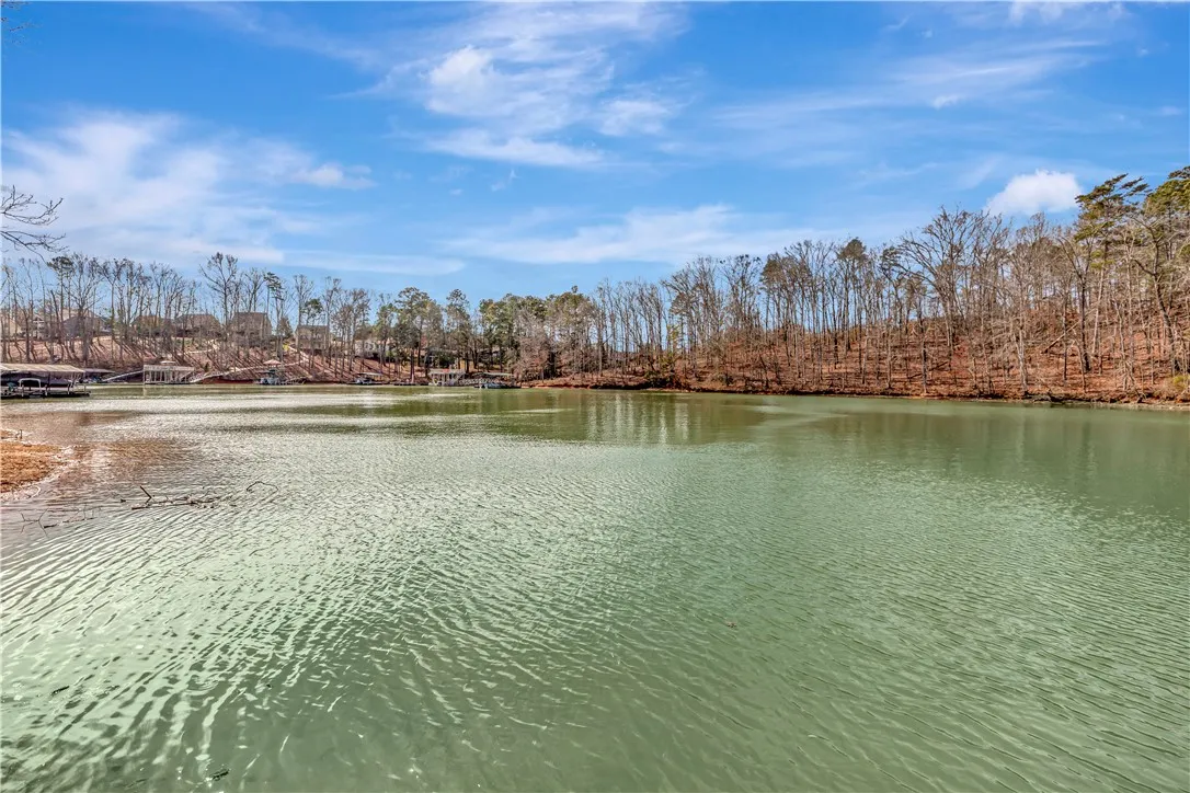 Property image 2 at 1028 Smyzer Road, Townville, SC 29689