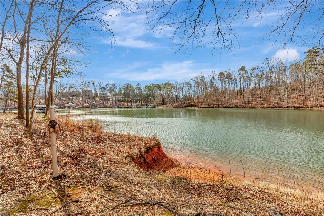 Property image 3 at 1028 Smyzer Road, Townville, SC 29689