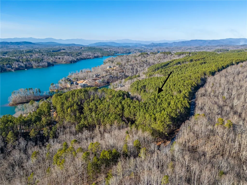 Property image 2 at 201 Deep Cove Point, Sunset, SC 29685