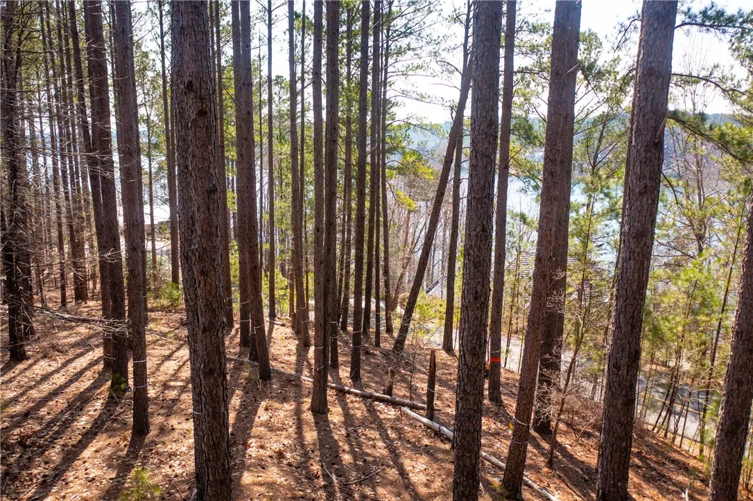 Property image 5 at 201 Deep Cove Point, Sunset, SC 29685