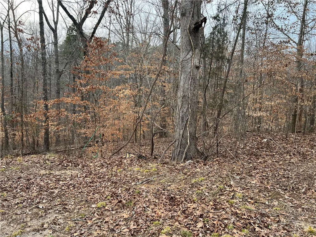 Property image 3 at 00 Fox Grape Court, Seneca, SC 29678