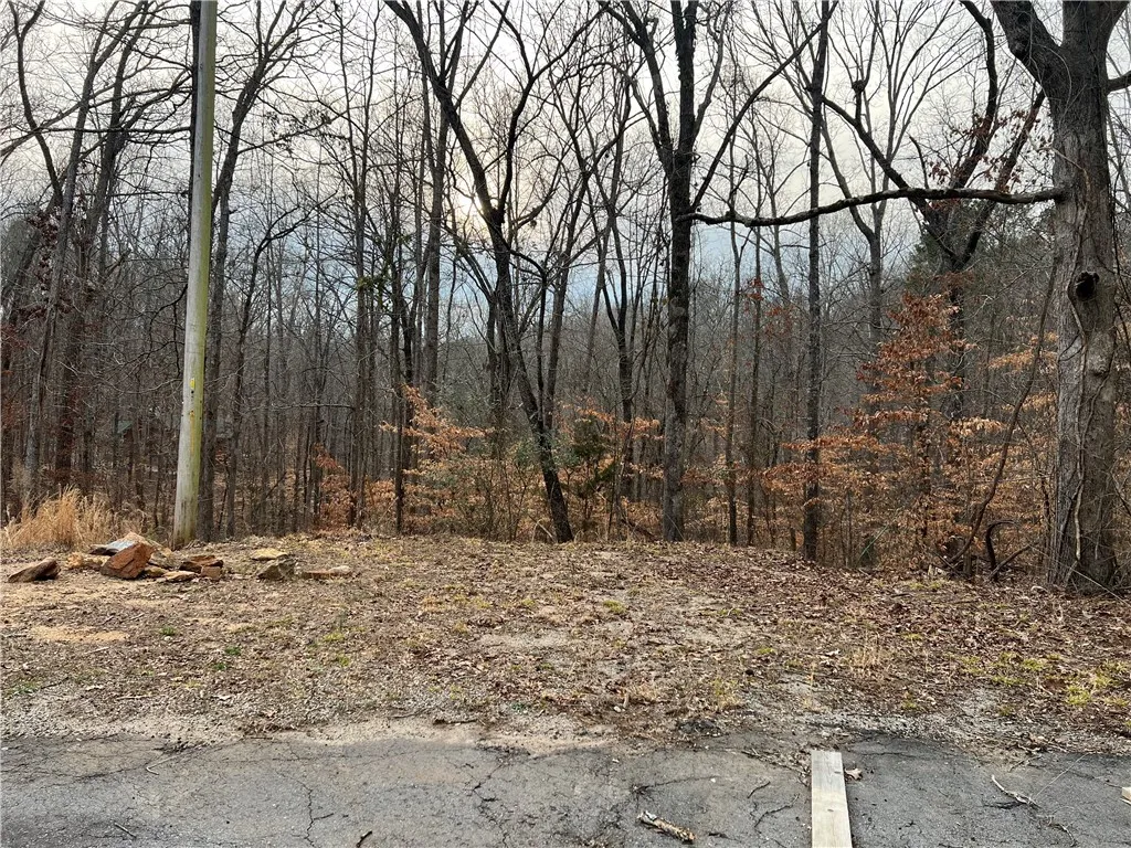 Property image 4 at 00 Fox Grape Court, Seneca, SC 29678