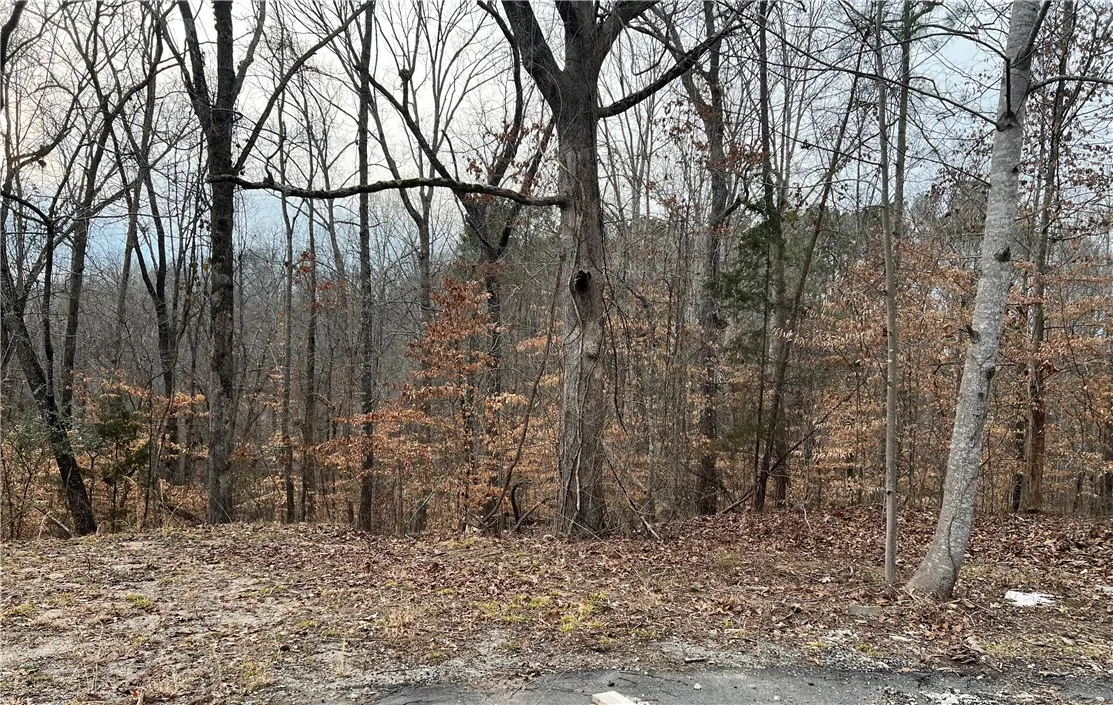 Property image 5 at 00 Fox Grape Court, Seneca, SC 29678