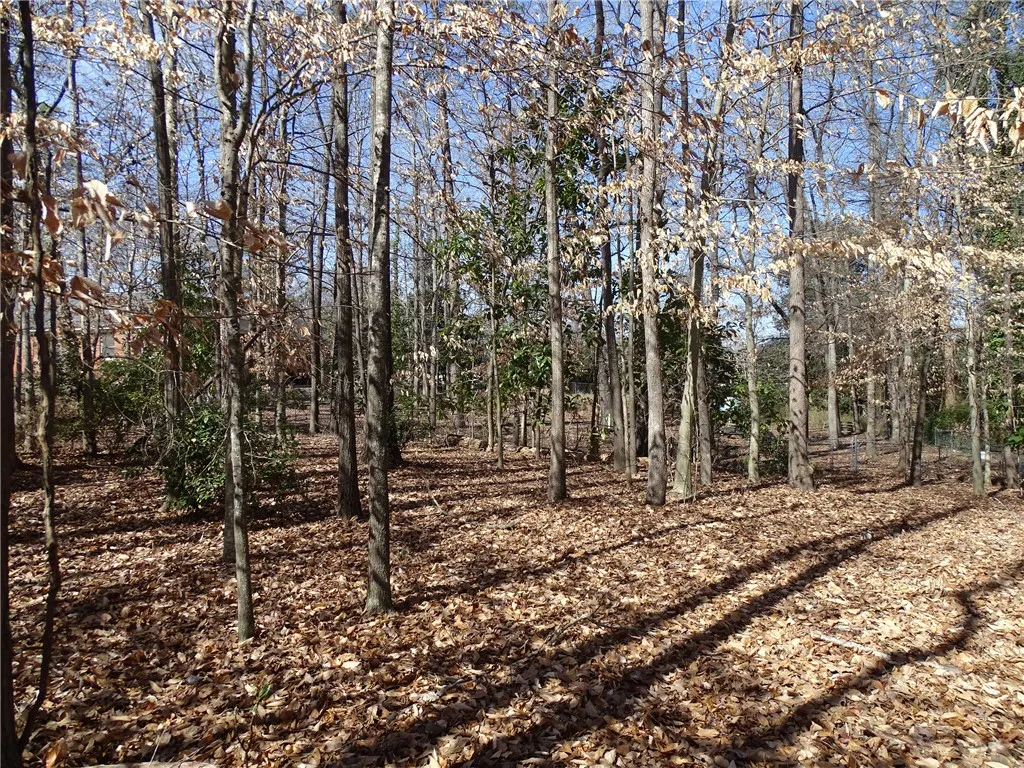 Property image 1 at 111 Rice Road, Belton, SC 29627