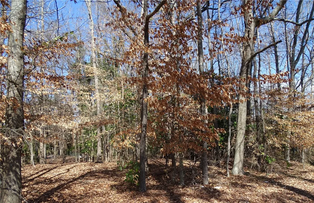 Property image 2 at 111 Rice Road, Belton, SC 29627