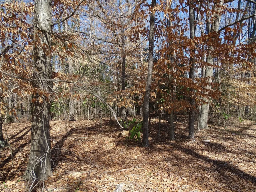 Property image 3 at 111 Rice Road, Belton, SC 29627