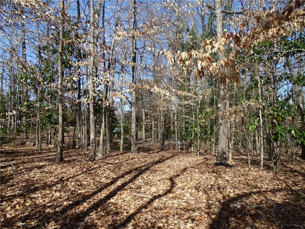 Property image 5 at 111 Rice Road, Belton, SC 29627