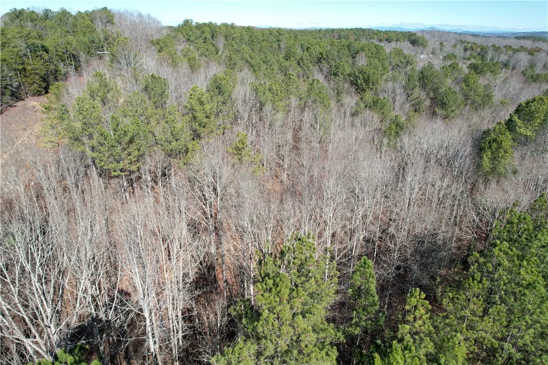 Property image 4 at 00 RT 130 Highway, Seneca, SC 29672