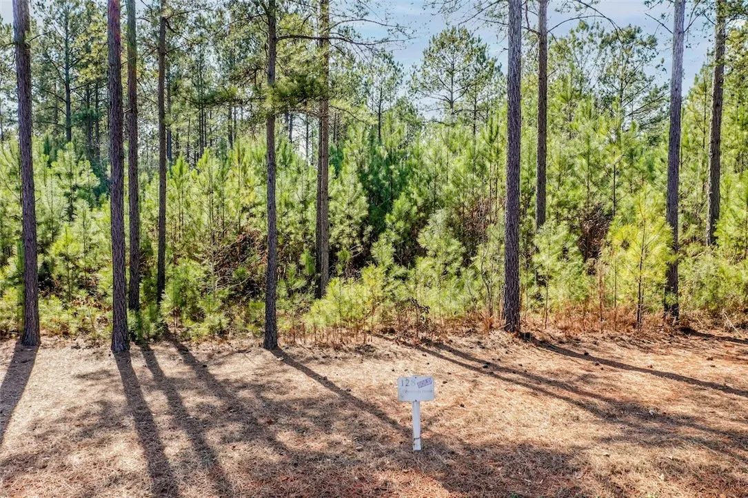 Property image 2 at Lot 128 McAlister Road, West Union, SC 29696