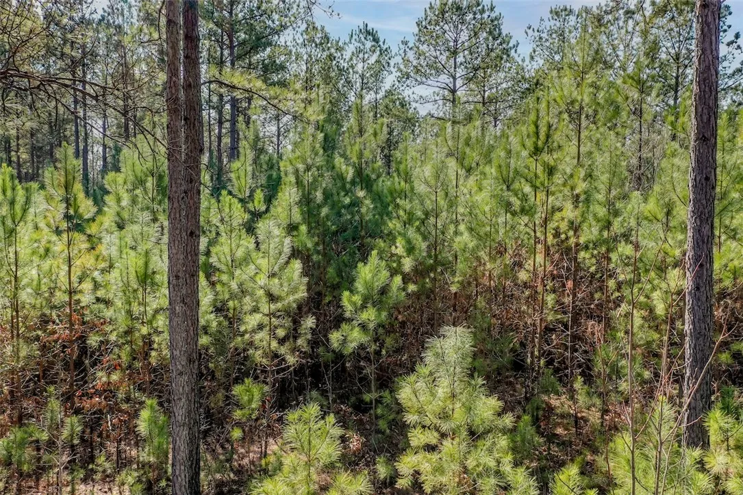 Property image 5 at Lot 128 McAlister Road, West Union, SC 29696
