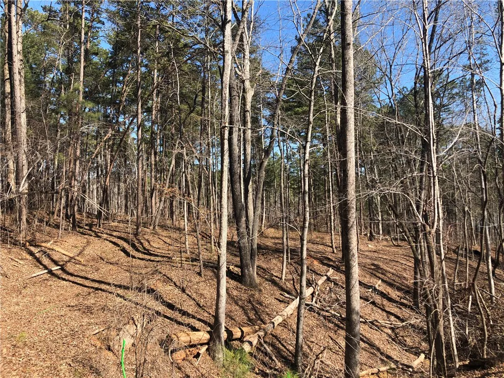 Property image 2 at Lot 44 Glassy Water Way, West Union, SC 29696